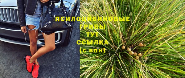 метадон Белокуриха