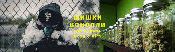 метадон Белокуриха